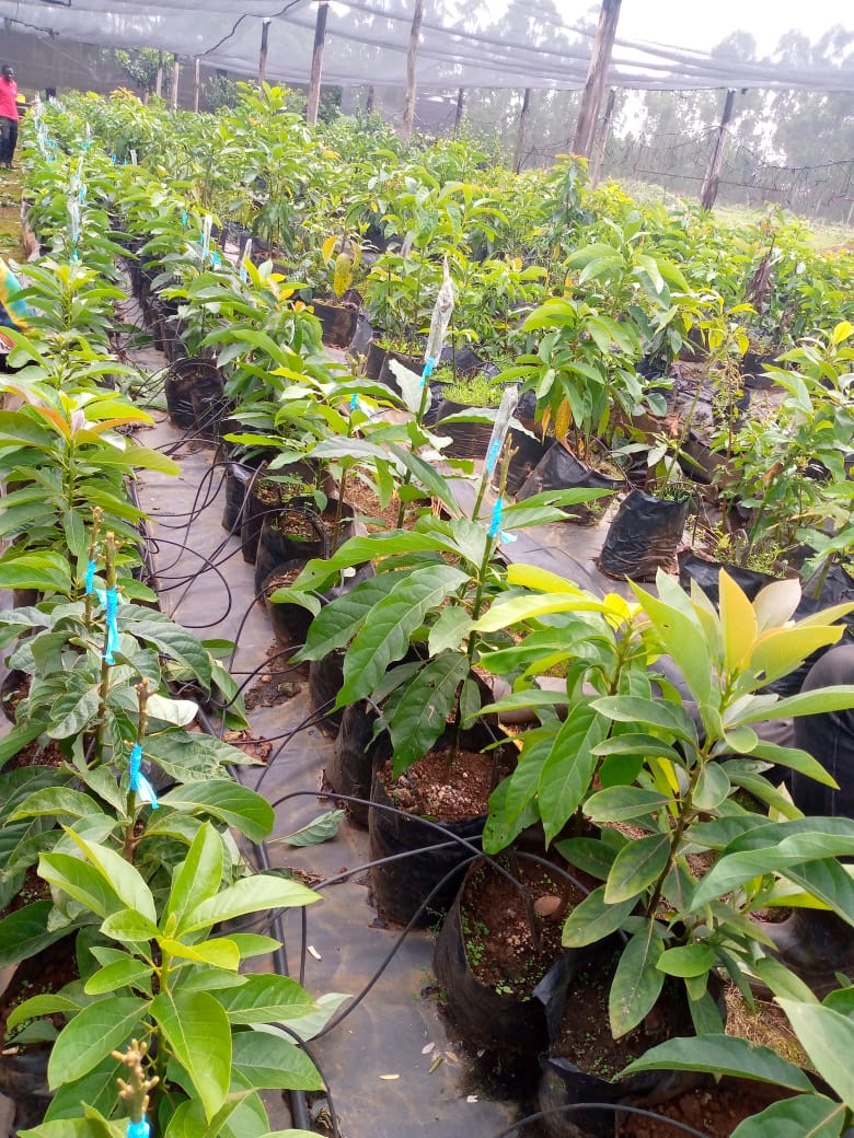 YardAgriHub large image